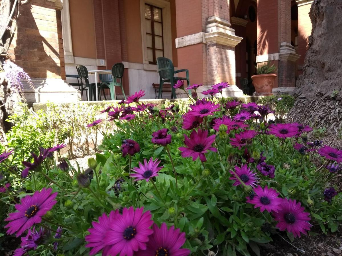 Casa S. Giuseppe Di Cluny Couette-café