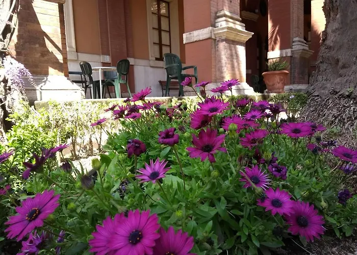 Casa S. Giuseppe Di Cluny